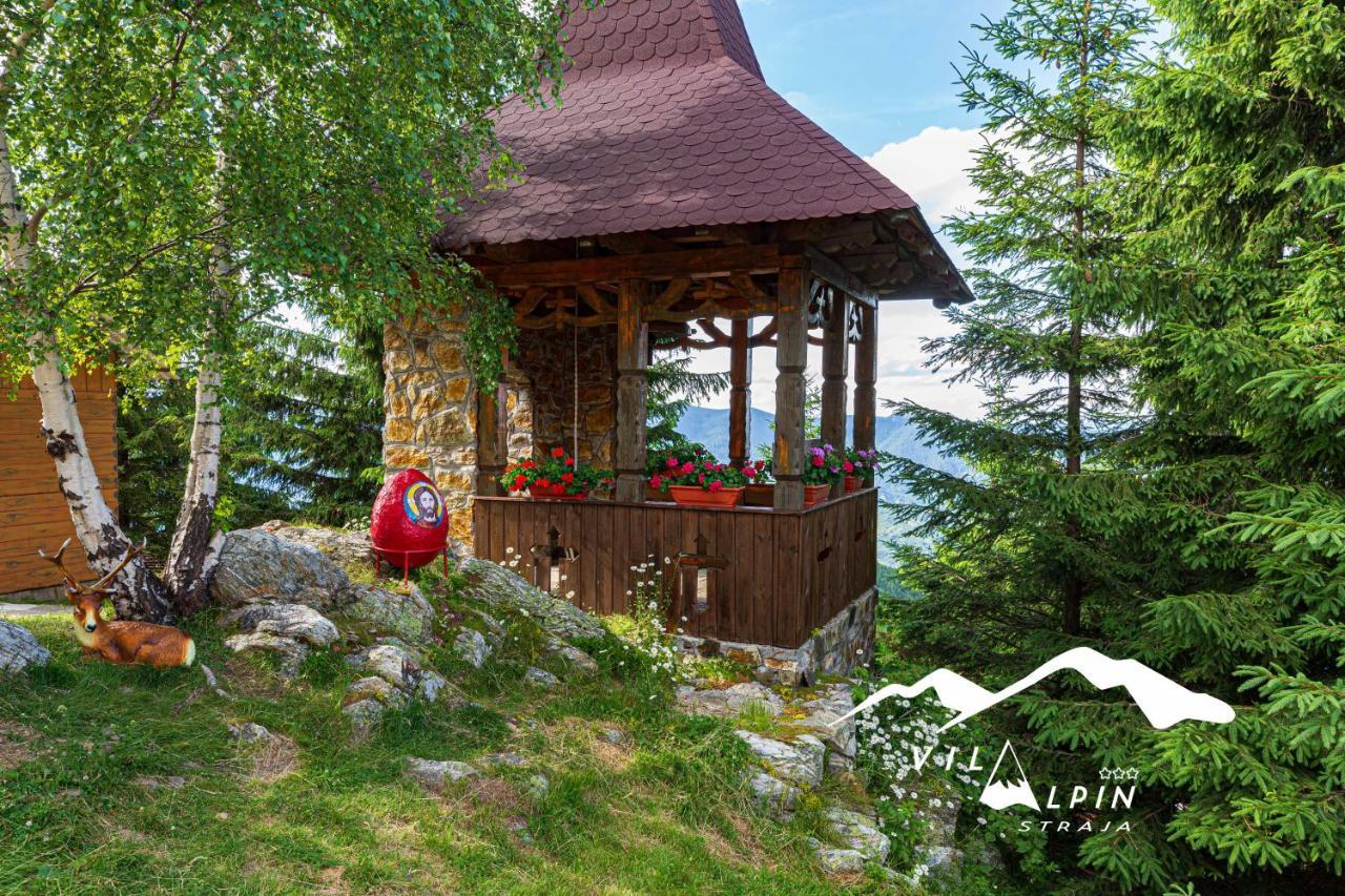 Alpin * Straja (Hunedoara)