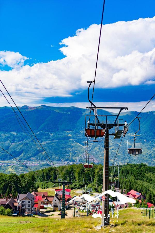 Alpin Straja (Hunedoara)