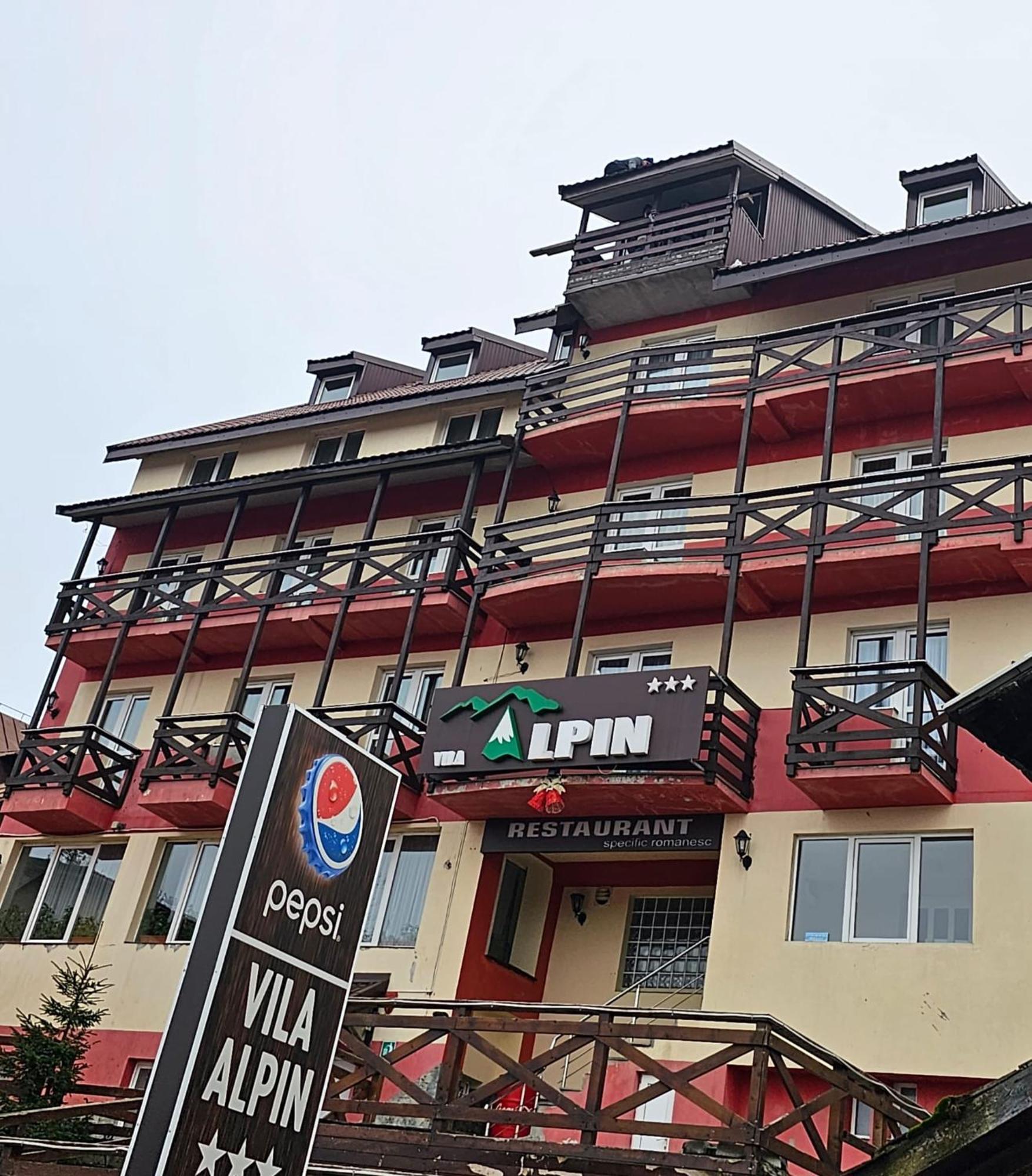 Alpin Villa Straja (Hunedoara)